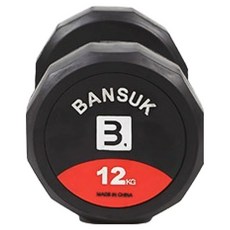 반석스포츠 맥스 12각 아령, 12kg, 1개