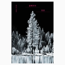 Changbi Publishers 貓頭鷹的缺席, 裴秀娥