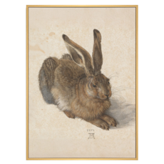 菠蘿選畫所 野兔 杜勒 AVAR3467D, 木色