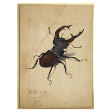 菠蘿選畫所 鍬形蟲 杜勒 AVAR4666G, 金色