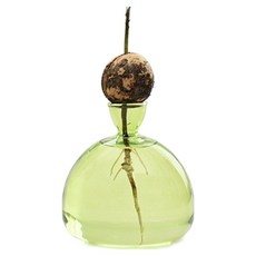 彩色酪梨水耕玻璃花瓶 小型 MW0116, 綠色