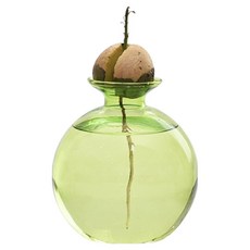 컬러 아보카도 수경 유리 화병 원형 MW0116, 그린