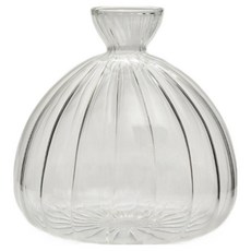 투명 아보카도 수경 유리 화병 스트라이프 MW0125