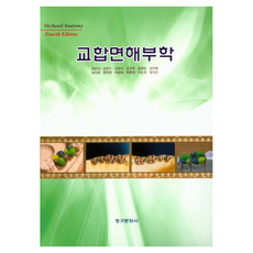 교합면해부학 4판, 청구문화사, 권순석, 김연수, 김원수, 김장주, 김재도, 김지영, 남상용, 문희경, 박원욱, 박종희, 이도경, 정지선