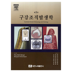 구강조직발생학 제3판, 대한나래출판사, Mary Bath Balogh, Margaret Fehrenbach