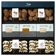 영진표고숲속애 영양가득담은 표고 혼합세트, 1세트