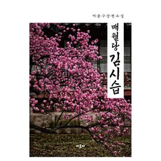 梅月堂金時習:李文垢長篇小說, 阿羅帕, 李文高