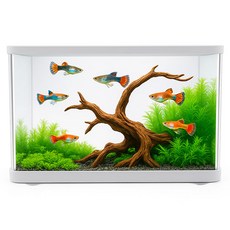 Samaqua Refresh 塑膠圓形魚缸, 1個, 白色