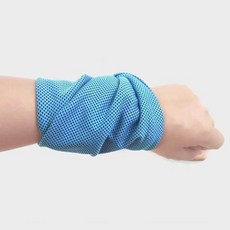 生活智慧 多用途吸汗運動手腕毛巾, 1個, 藍色