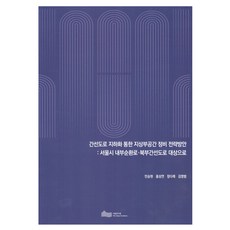 幹線道路地下化之地面空間整備策略方案：以首爾市內部循環路、北部幹線道路為對象, 「透過主乾道地下化重組地上空間的策略:首爾內環線…, 首爾研究院, 閔升鉉, 洪尚妍, 鄭多萊, 金永範 (作者), 閔承賢, 洪珊娟, 鄭多來, 金永範