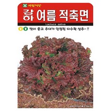 아람종묘 강하 여름적축면 상추 씨앗 2000p, 1개