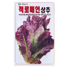 아람종묘 적로메인상추 씨앗 1000p