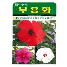 아람종묘 부용화 꽃 씨앗 100p, 야생화 - 부용화(100립)