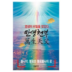 만생천부, 한솜미디어, 자미성인