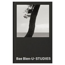 Bae Bien-U·STUDIES精裝本, 裴秉宇等人, 暗箱