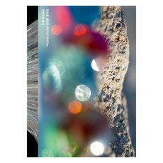 Plainnbutical 研究是什麼?, 彼得.N.米勒