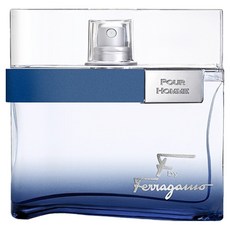 Salvatore Ferragamo 菲拉格慕 台灣公司貨 非凡之旅 男性淡香水, 1個, 100ml