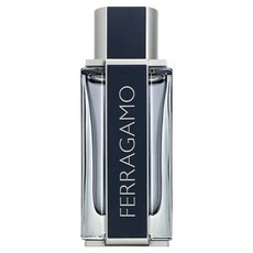 Salvatore Ferragamo 菲拉格慕 菲常先生 男性淡香水, 1個, 100ml