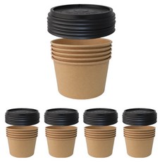 Bloom at home 牛皮紙小吃容器 + 黑色蓋子 750號, 1入, 25個