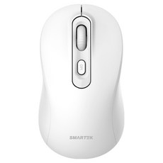 스마텍 리시버 블루투스 겸용 무소음 무선 마우스, 화이트, STM-BT1200