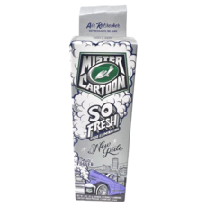 Turtle Wax 美國龜牌 卡通先生 車內清新除臭噴霧 新車香味 54226, 1個, 57g