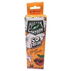 Turtle Wax 美國龜牌 卡通先生 車內清新除臭噴霧 日落蜜桃 54228, 1個, 57g