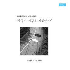 이비와 참새의 사진이야기: 바람이 거꾸로 자라난다, 임영주(저), 참비, 임영주