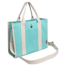 RaelraBear Aria 帆布托特斜揹包 RA24-590, MINT