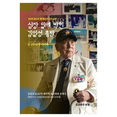 PublishingBoCheong 深植心臟下的金日成子彈 精裝版, 寶清, 柳在植