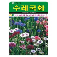 아람종묘 수레국화 씨앗 500립, 1개