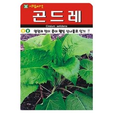 아람종묘 곤드레 씨앗 100립, 1개