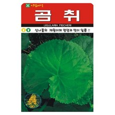 아람종묘 곰취 씨앗 100립, 1개