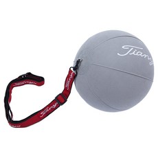 bebehome 高爾夫揮桿姿勢訓練球, 1個, 灰色