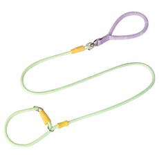 파스텔펫 반려동물 알파벳 일체형 목줄 리드줄, 그린, 1개