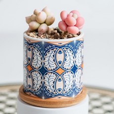 微笑陶瓷花盆, style2, 1個