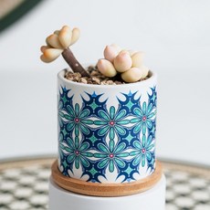 微笑陶瓷花盆, style4, 1個