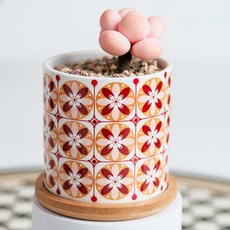 微笑陶瓷花盆, style6, 1個