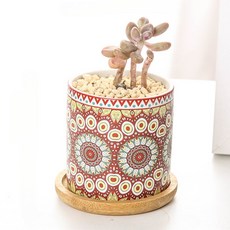 微笑的迷你花盆, 1個, 紅色