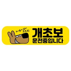뭉키데코 고휘도 반사 칼라 탈부착 자석 RME 차량스티커 250 x 70mm, 2 초보운전, 1개