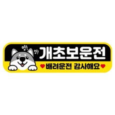 뭉키데코 고휘도 반사 칼라 탈부착 자석 RME 차량스티커 250 x 70mm, 17 초보운전, 1개