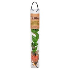 TERRA 蛻變生物 拿手罐, 1個
