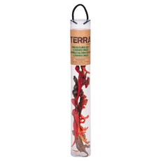 TERRA 肉食性恐龍 拿手罐, 1個