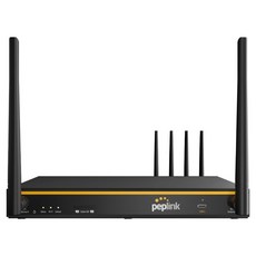 Peplink 雙WAN路由器 LTE備援, 1台, B one 5G