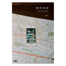 玫瑰城市, 安惠珍, 海邊的鵝卵石