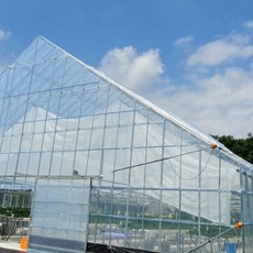 Naktapyo 長壽塑膠布 0.15mm*5m*12m, 1個