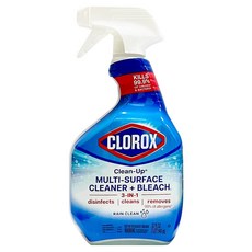 CLOROX 高樂氏 萬用強效去污漂白清潔劑 清新香, 1個, 946ml