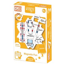 Learning Kitds 科學系列 磁力認知遊戲, 1個, 19片, 混和顏色