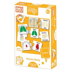 Learning Kitds 科學系列 人體器官認知遊戲, 1個, 40片, 混和顏色