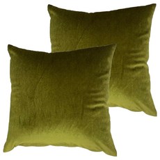 J&N 晶亮絲絨抱枕2件組, 綠色