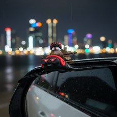 AUTO CREW 極光 Wind Wing 後視鏡擋雨板 紅色 AC-P9, 1個, 全車系